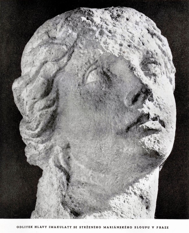 ms-snimky-bradna-054.jpg