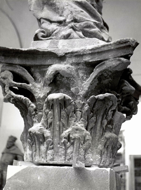 ms-snimky-bradna-100.jpg